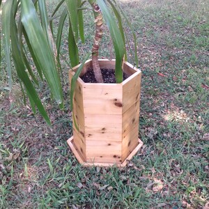 Puede incluir: Un macetero hexagonal de madera con una planta creciendo en su interior. El macetero est&aacute; hecho de madera natural y tiene un aspecto r&uacute;stico. El macetero est&aacute; sentado sobre un lecho de hierba verde.