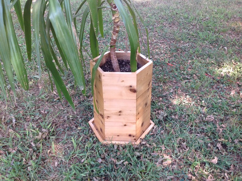 Puede incluir: Un macetero hexagonal de madera con una planta creciendo en su interior. El macetero est&aacute; hecho de madera natural y tiene un aspecto r&uacute;stico. El macetero est&aacute; sentado sobre un lecho de hierba verde.