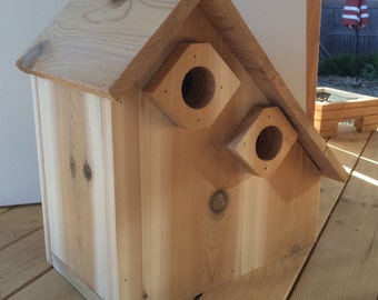 Bluebird birdhouse duplex, cedar, outdoor, predator protected, house