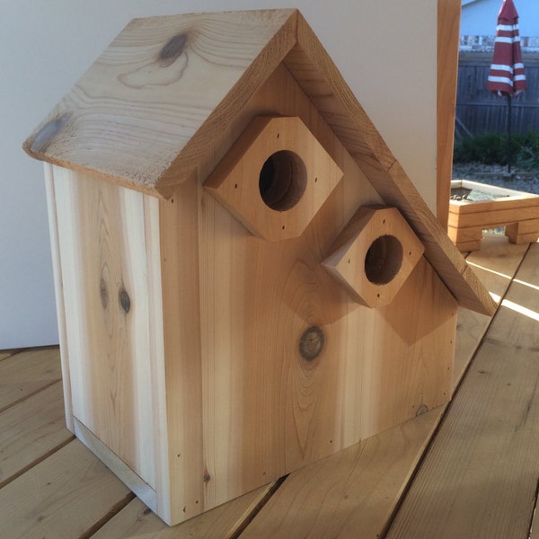 Bluebird birdhouse duplex, cedar, outdoor, predator protected, house