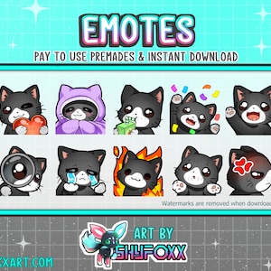 Zwart-wit Kat Premade Emote Pack (RECOLORS BESCHIKBAAR) Digitale bestanden voor Twitch en Discord Twitch Aangepaste Emotes en Badges