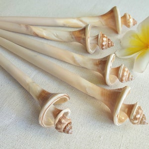 Set of 5 shell hair pins, for ocean beach lovers and mermaids, a set of five long natural shell hair bars to hold your hair up in style.
