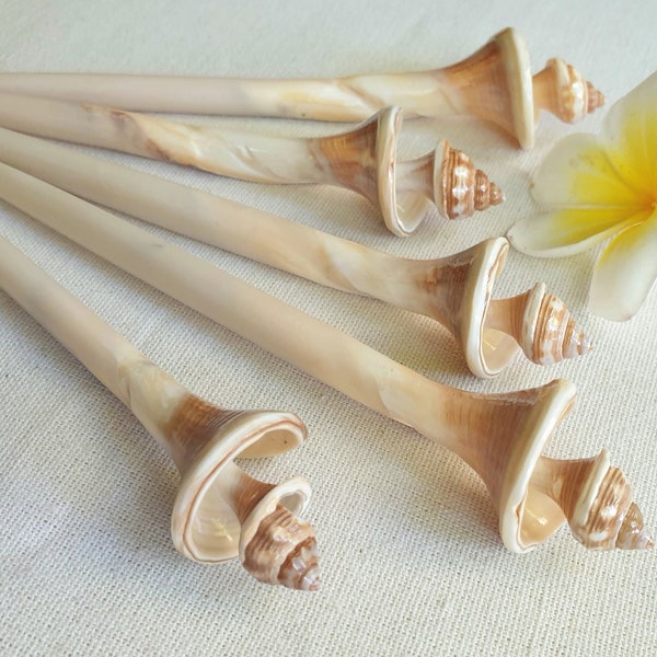 Set of 5 shell hair pins, for ocean beach lovers and mermaids, a set of five long natural shell hair bars to hold your hair up in style.