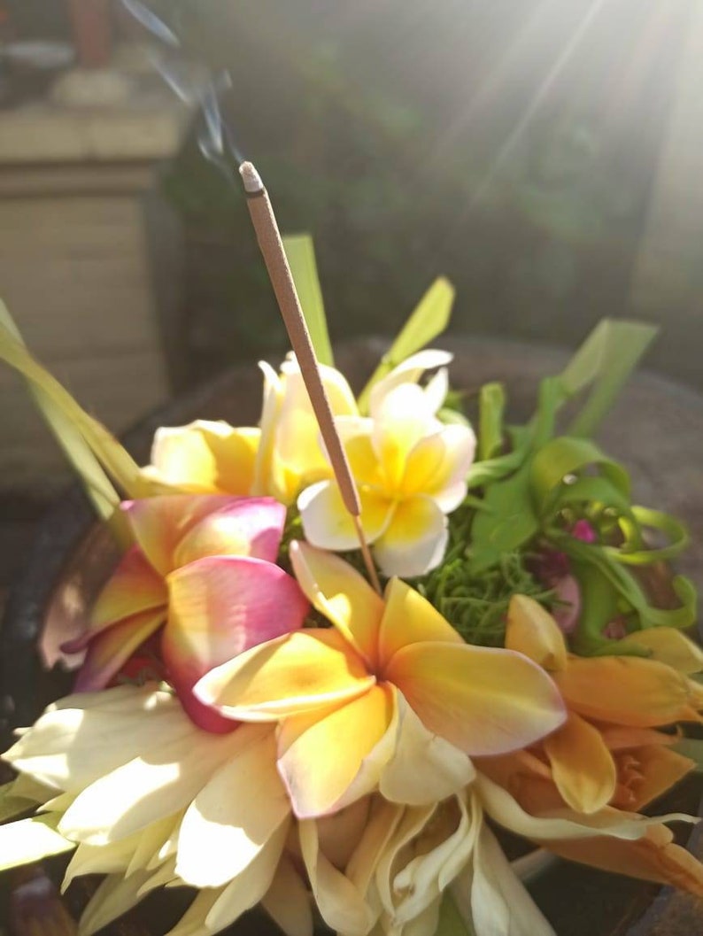 8 Sampler Packets Bali Incense Sticks Handmade Natural Incense Etsy