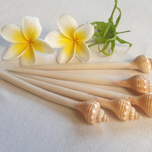 Lot de 5 épingles à cheveux en coquillages, pour les amoureux de la plage et les sirènes, un lot de cinq longues barres à cheveux en coquillages naturels pour maintenir vos cheveux avec style.