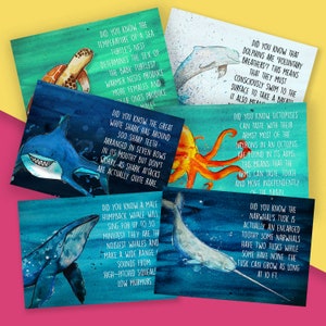 Marine Animal Facts Postcard Pack // 6x Marine Animal Pen Illustration Postcards Print for Children & Education // Whale Friendship Cards