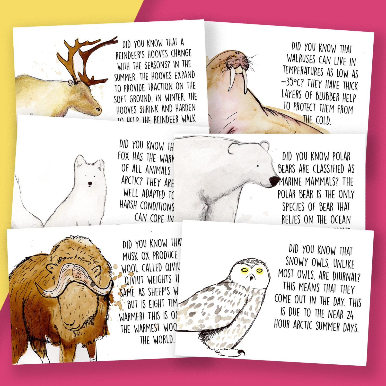 Arctic Animals Facts Postcard Pack // 6x Cute Arctic Animal - Etsy Arctic Animals Facts Postcard Pack // 6x Cute Arctic Animal - Etsy