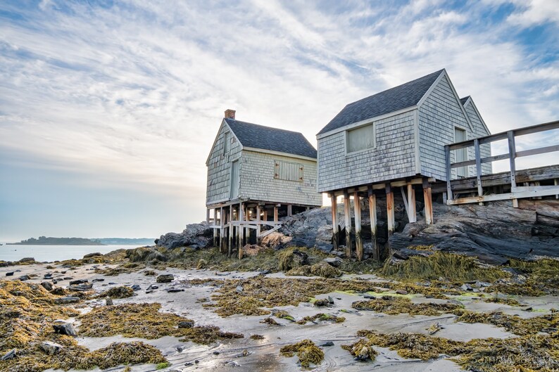 May include: Two weathered white wooden houses on stilts stand on a rocky shore with seaweed and sand. The houses have a rustic charm and are located near a body of water.