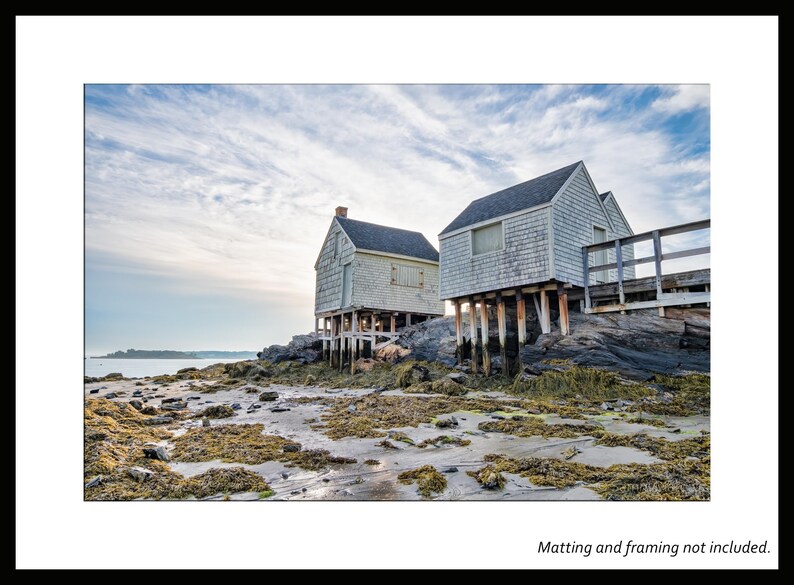 May include: Two white wooden houses on stilts on a rocky shore with seaweed and sand. The sky is blue with white clouds.