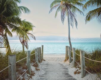 Può includere: Una passerella di legno conduce a una spiaggia sabbiosa, incorniciata da pali di legno e ringhiere di corda. Le palme con fronde verdi ondeggiano nella brezza sotto un cielo blu. L'oceano è visibile sullo sfondo, con un accenno di luna crescente.