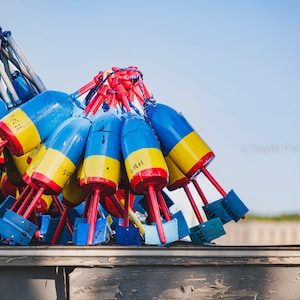 Buoys - Maine