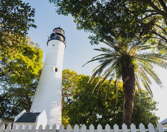 Key West Lighthouse and Palm Tree in Key West, Florida