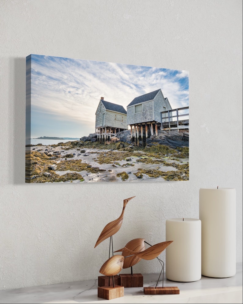May include: Two white wooden houses on stilts over a rocky shoreline with green seaweed and a blue sky with white clouds.