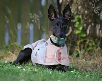 Tweed dog coat, sighthound