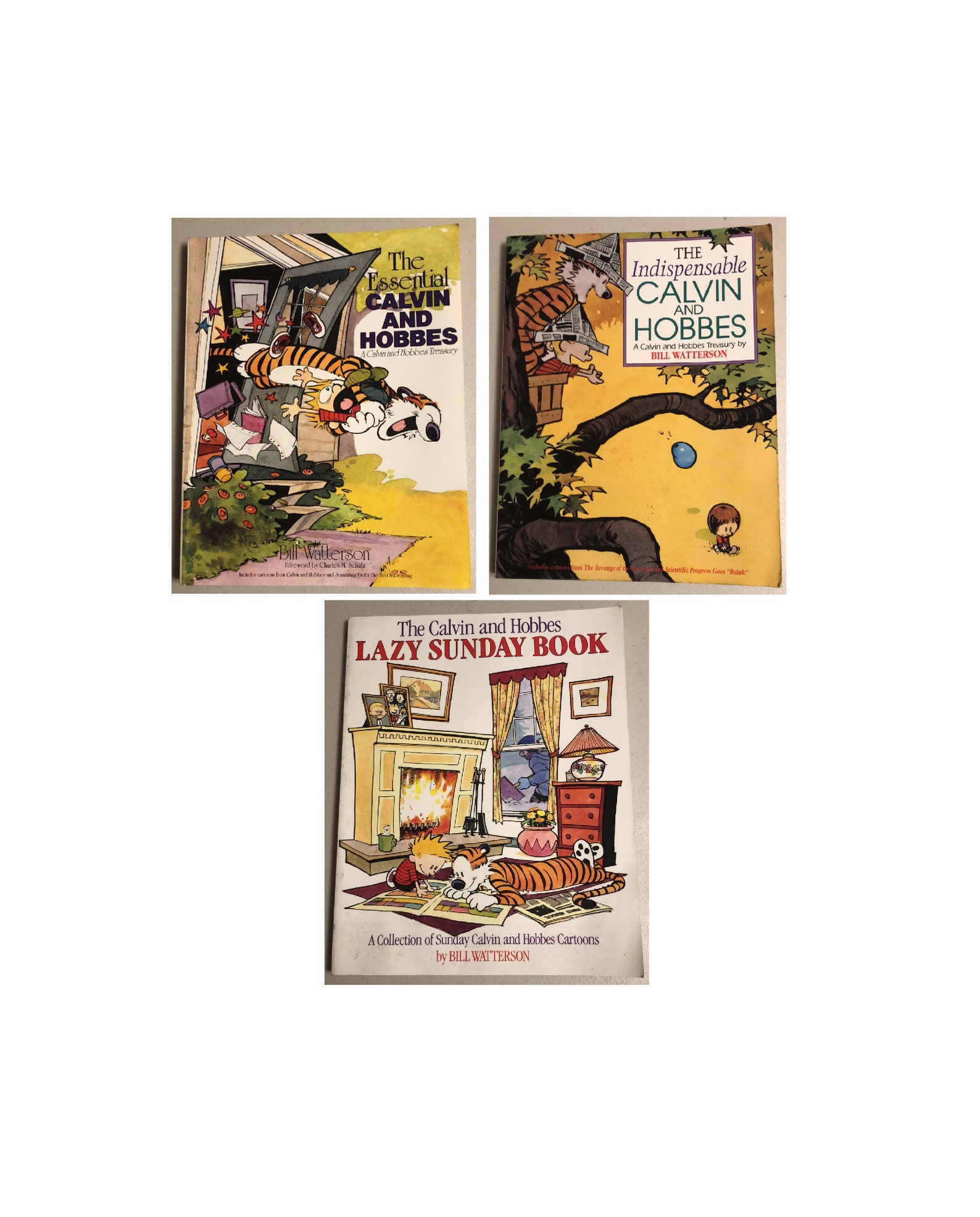 Calvin & Hobbes Books, Tenth Anniversary Book by Bill Watterson Calvin & Hobbes Books, Tenth Anniversary Book by Bill Watterson
