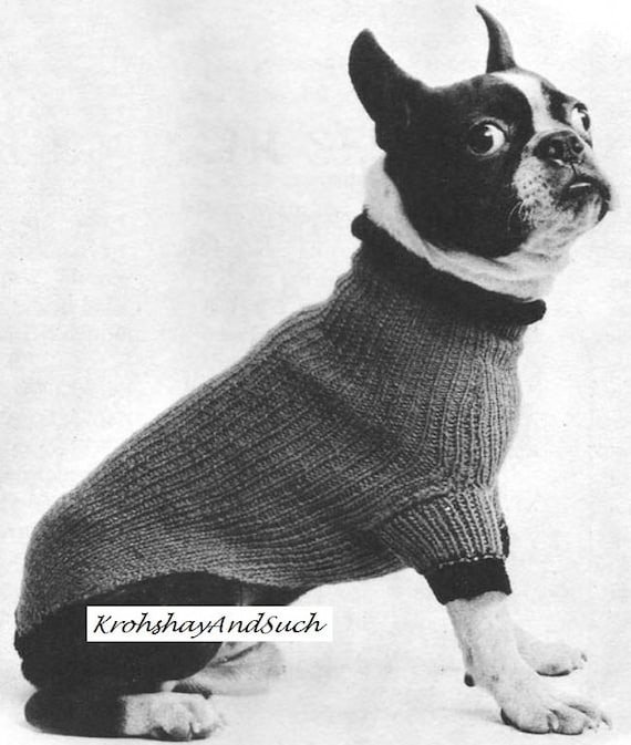 boston terrier jacket