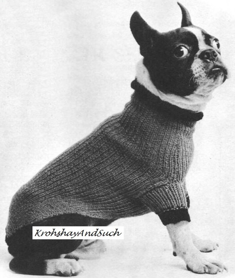 Boston Terrier Dogs Coat Knitting Pattern. PDF Instant Etsy UK