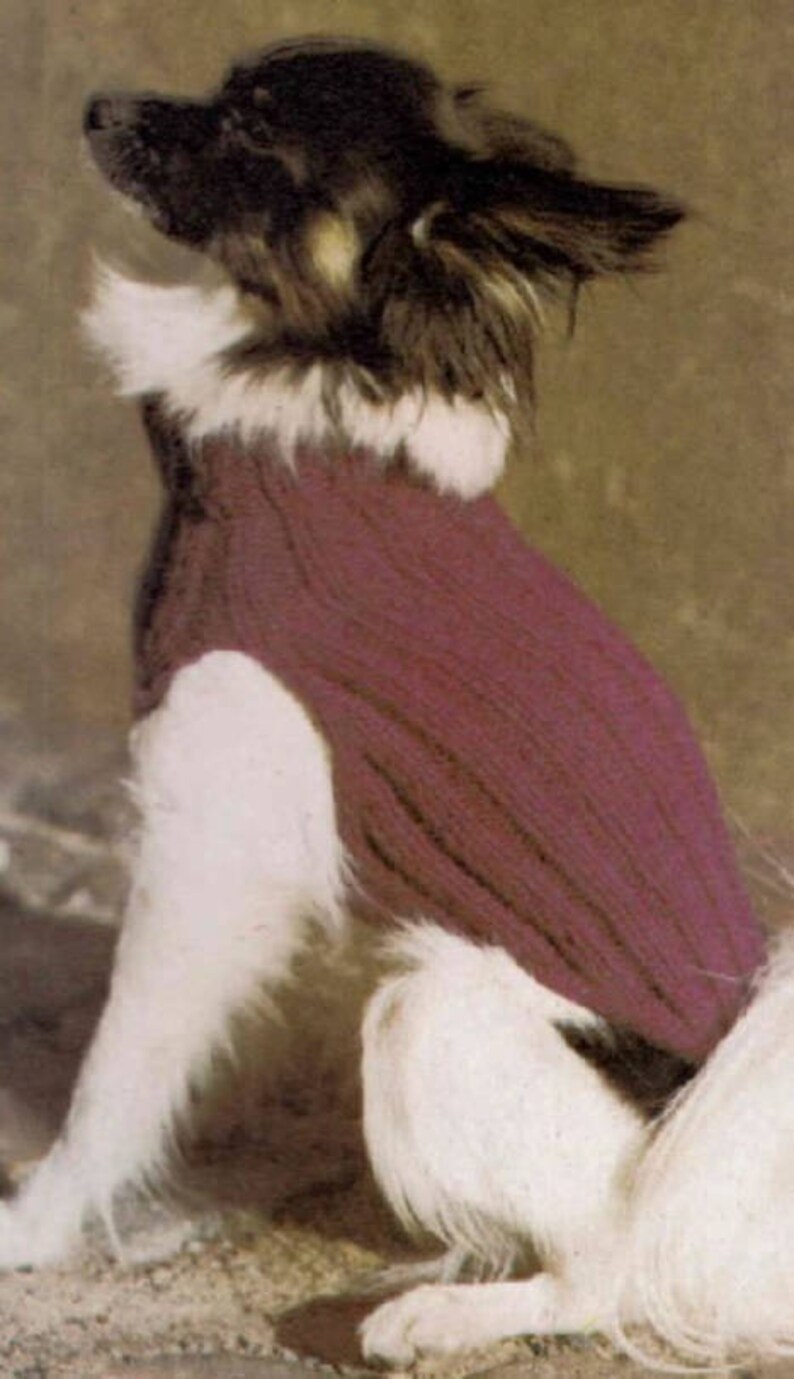 Small Dog Coat Knitting Pattern. PDF Instant Download. Etsy