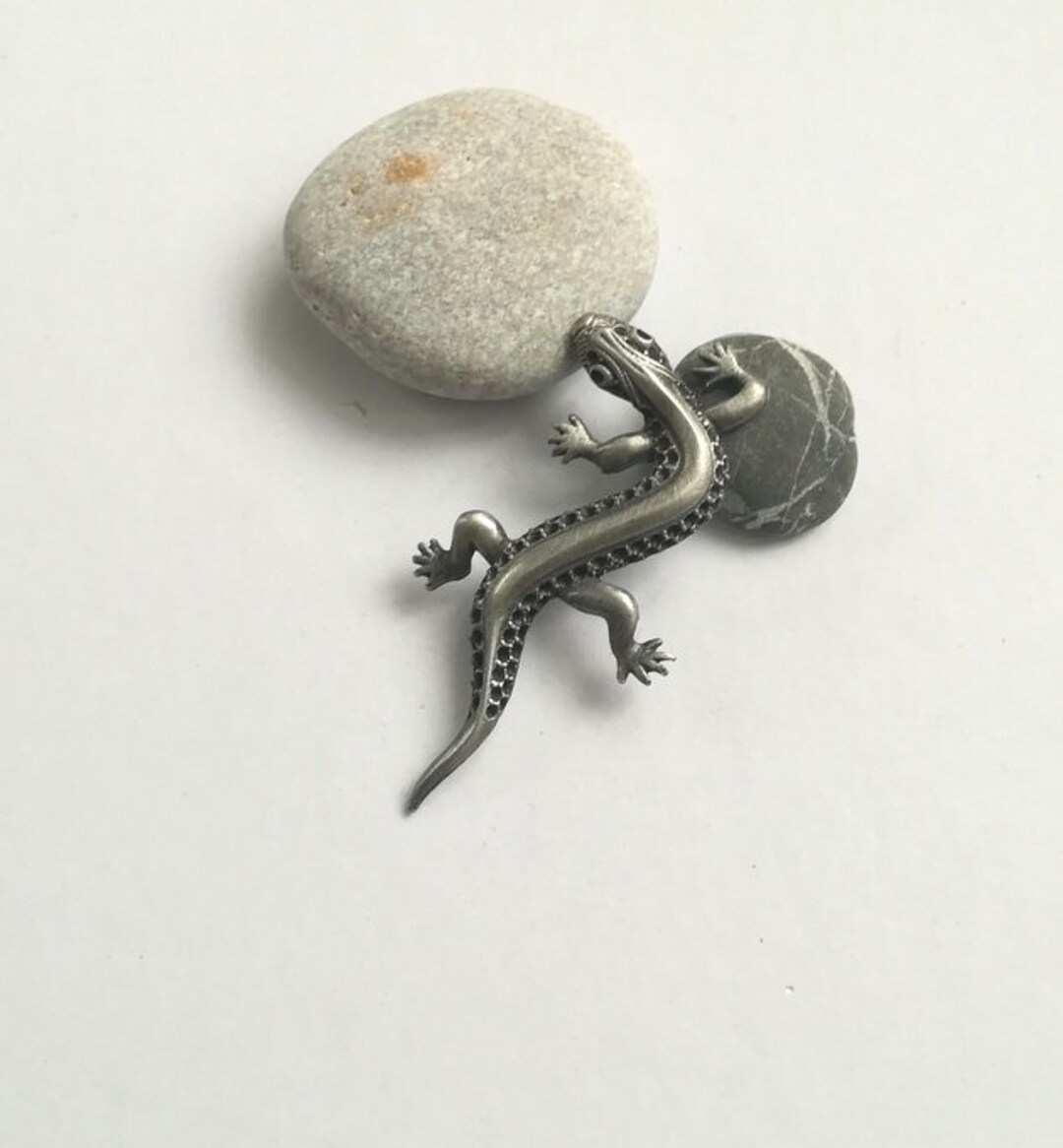 ウェア Fin-ch Floreana5-LIZARD 35375bf6-5114-452b-aece-
