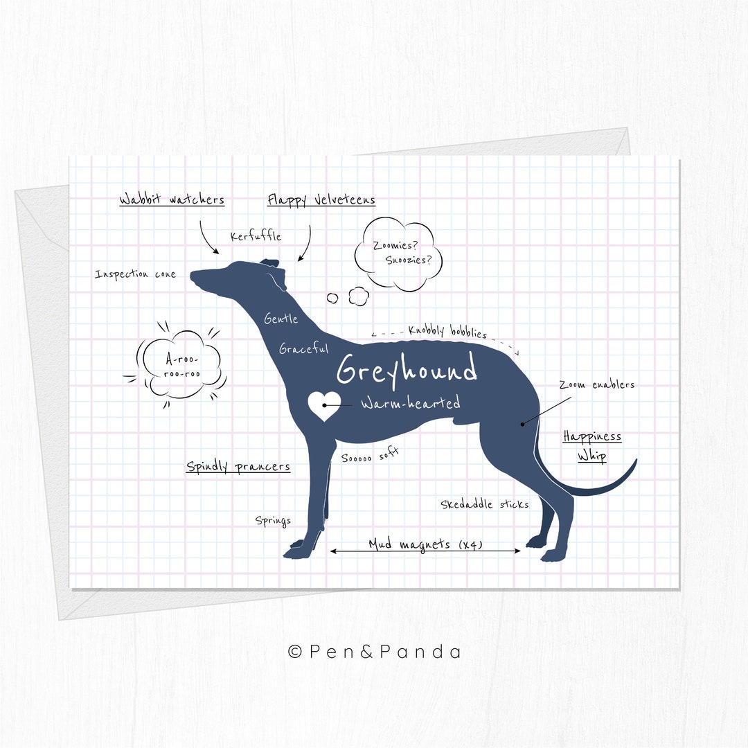 Anatomy of a Greyhound Illustrated Greeting Card Funny Dog Etsy UK