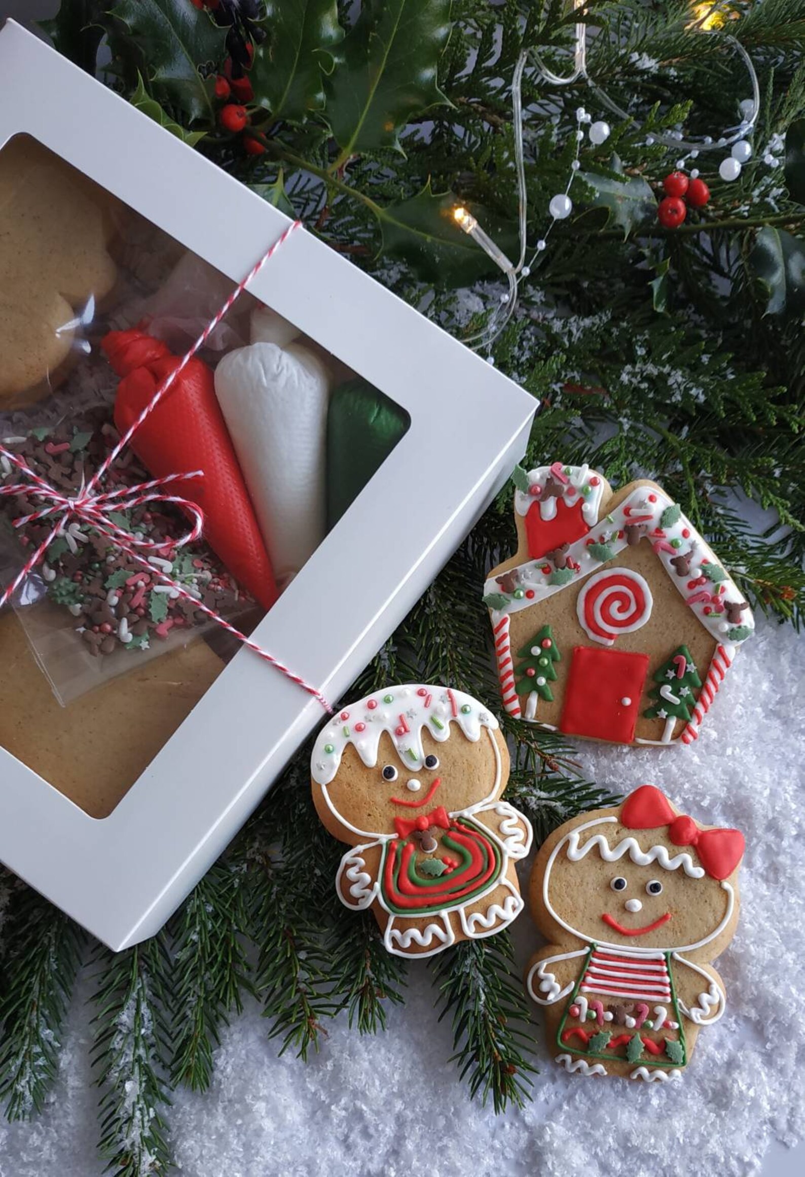 DIY Cookie decorating kit Christmas cookie kit gingerbread Etsy