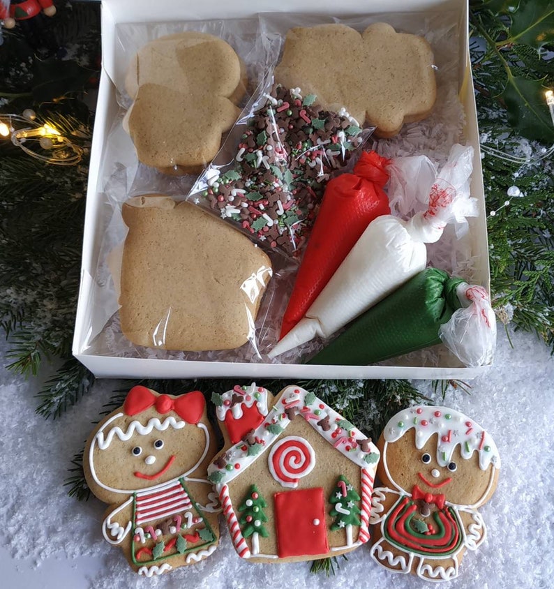 DIY Cookie decorating kit Christmas cookie kit gingerbread Etsy