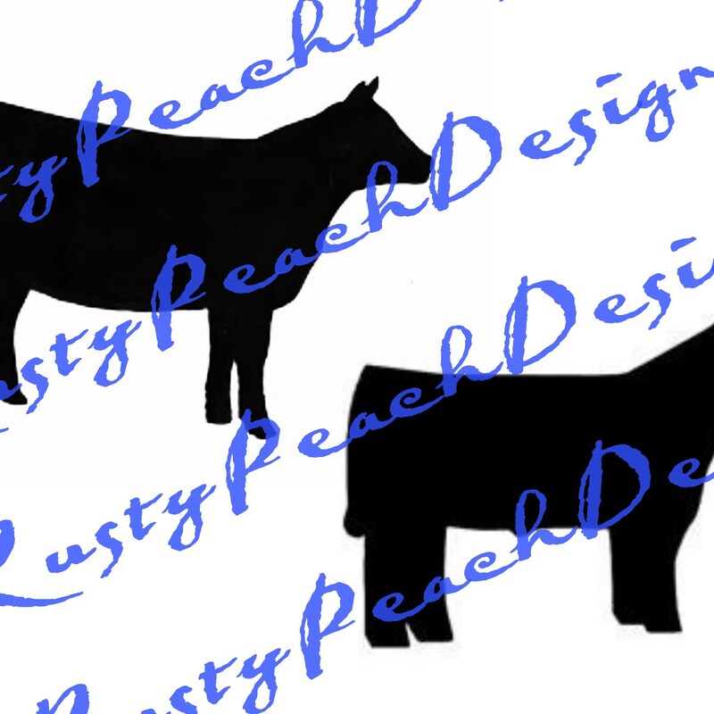 Show Steer Clip Art - Etsy