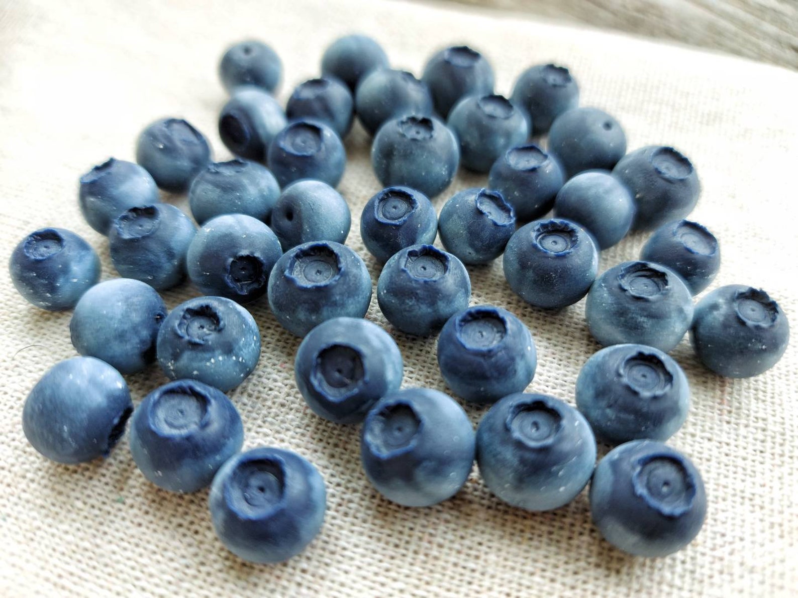 Blueberry Beads. Polymer Clay Beads. Jewelry Beading. DIY Kit. Etsy