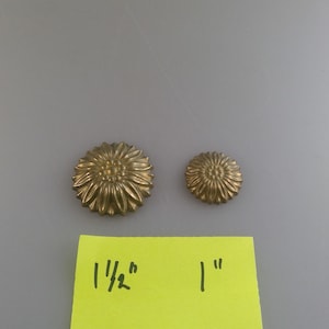 Cast Brass Rosett Cap Nut Wall Sconce, Plaque Nut 2 Different Sizes Choice