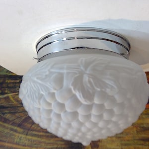 Grape Wine decorated shade hall bedroom ceiling Flush Mount embossed Free Shipping