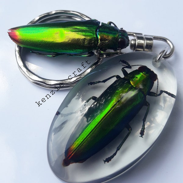 Jewelry Insect Keychain Real Chrysochroa fulminans