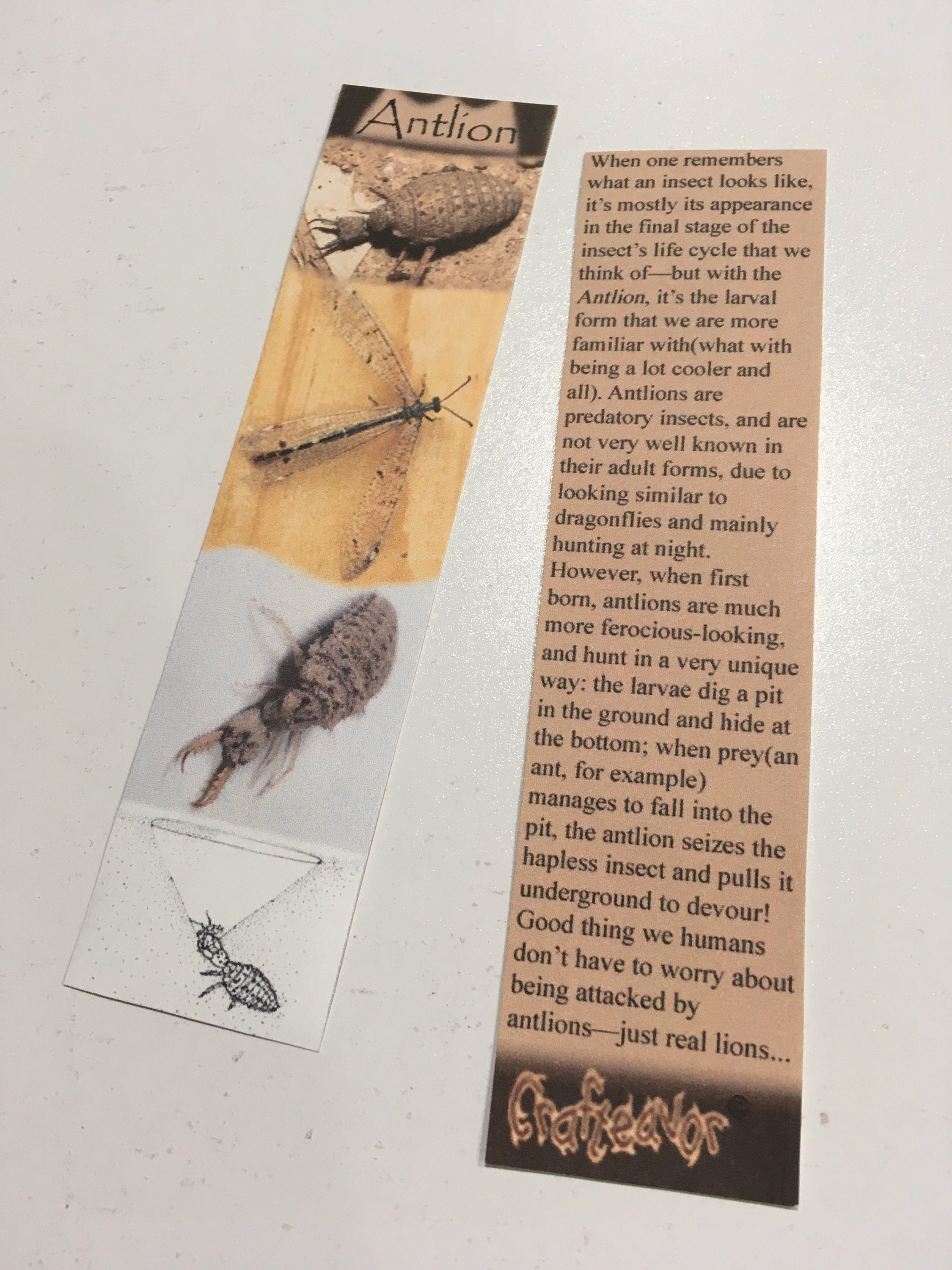 Insect Bookmarks - Etsy