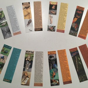 Insect Bookmarks