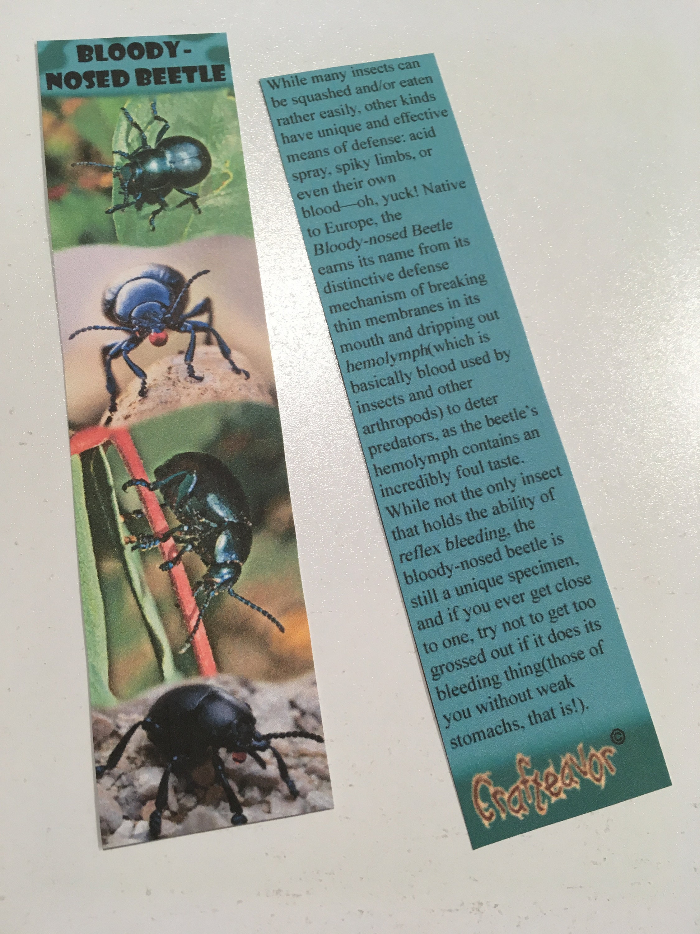 Insect Bookmarks - Etsy