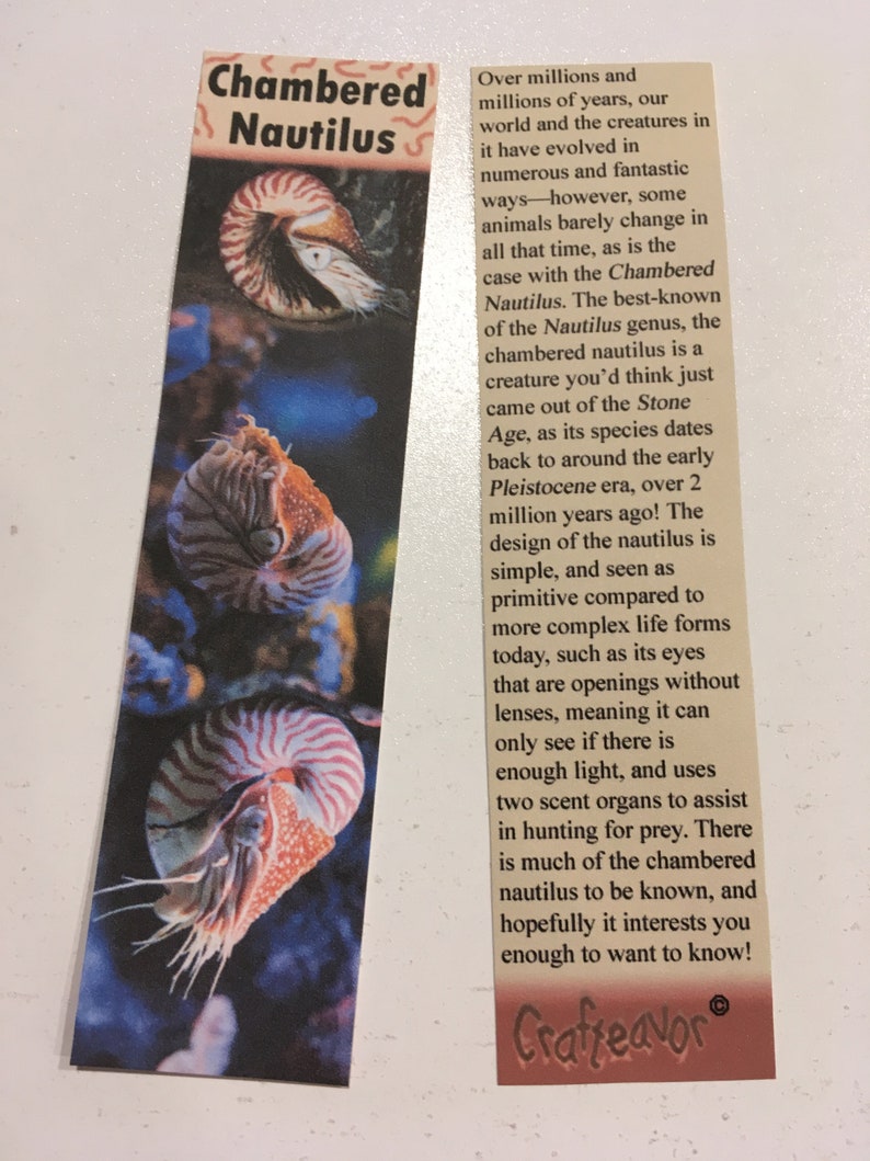 Cephalopod Bookmarks Etsy