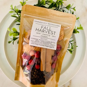 Fall Simmer Pot ONE BAG - Stovetop Potpourri Crockpot Slow Cooker Potpourri Dried Fruits, Cinnamon, Clove, Spices