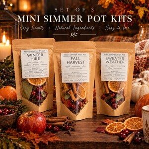 Simmer Pot Kit: Mini Bundle of 3 Scents (Dried Fruits, Spices, Herbs, stovetop potpourri)