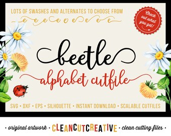 Cricut Font Cutfile Alphabet SVG Calligraphy font svg swash cute fancy curls script DXF EPS Silhouette Cameo & Cricut - clean cutting files