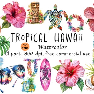Watercolor tropical hawaii clipart, tropic colorful surf clip art, hibiscus sunglasses travel graphics, pink drinks pinapple printable