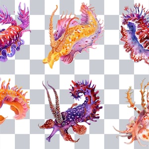 Puede incluir: Seis ilustraciones de acuarela de babosas marinas coloridas con detalles intrincados. Las babosas se representan en varias poses, mostrando sus formas y texturas &uacute;nicas.
