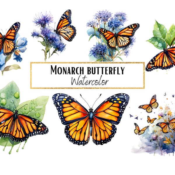 Monarch butterfly clipart, monarch butterfly PNG, clipart bundle, instant download, commercial use