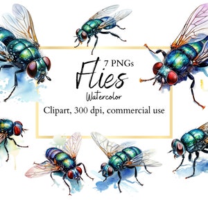 Fly clipart, flies, insect clipart, flies printable, flies, insect printable, fly design, instant download, commercial use, PNG files