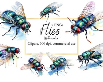 Fly clipart, flies, insect clipart, flies printable, flies, insect printable, fly design, instant download, commercial use, PNG files