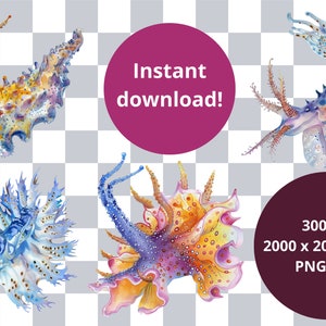 Puede incluir: Cuatro ilustraciones de acuarela de babosas marinas coloridas con detalles intrincados. Las babosas est&aacute;n en varias poses y tienen una variedad de colores, incluyendo azul, morado, amarillo y naranja. Las ilustraciones est&aacute;n sobre un fondo transparente.