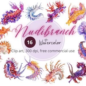 Clipart de nudibranche aquarelle, clipart créatures de l'océan, graphiques d'escargots, estampes colorées d'animaux marins, illustration graphique de luges de mer, fichiers png