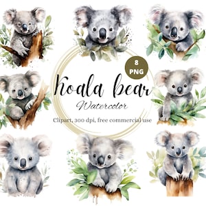 Watercolor Koala bear clip art, Cute animals clipart, baby bears graphics, marsupial illustration, climbing prints, instant download, png
