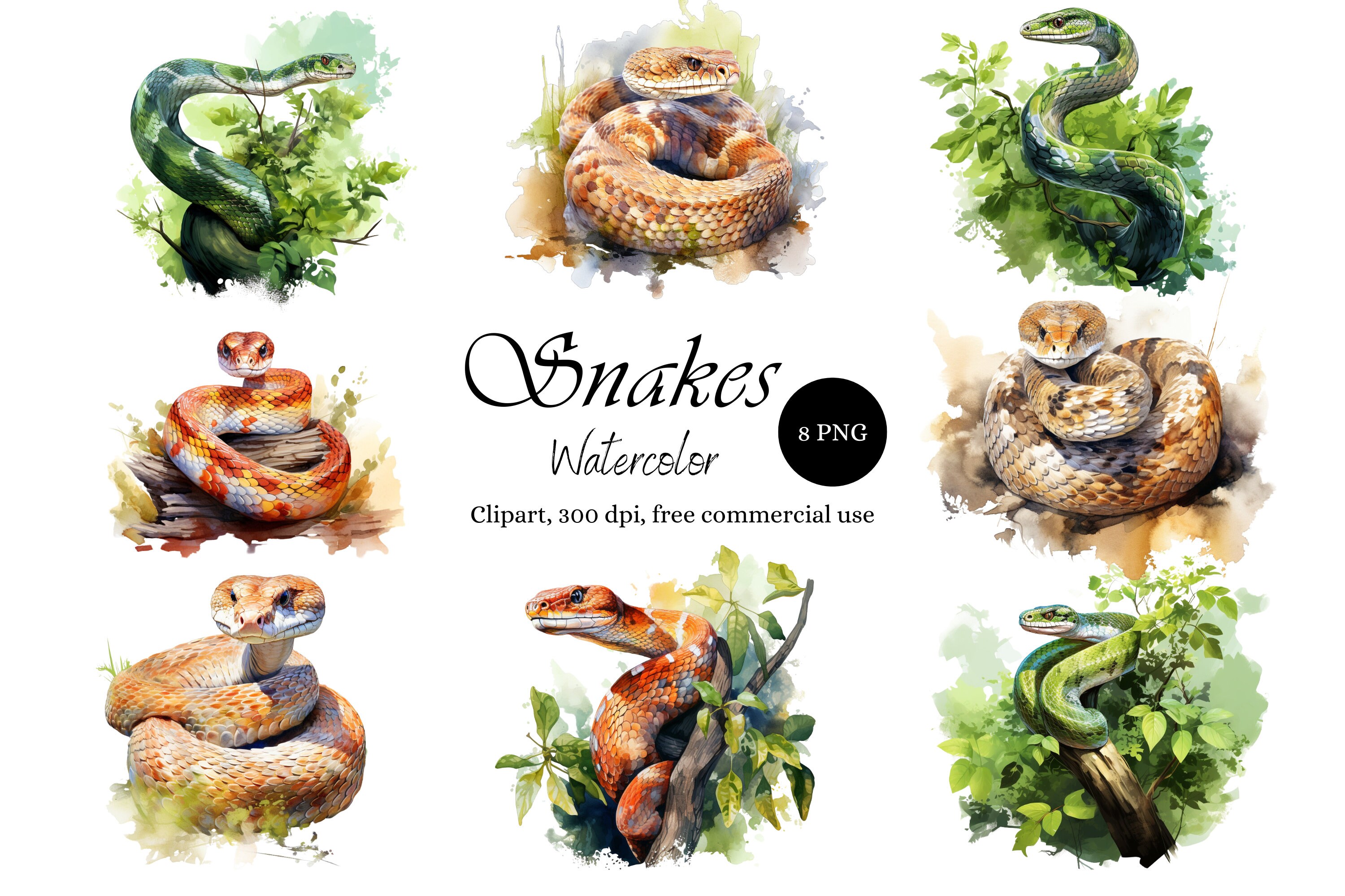 Watercolor snake clip art, snakes reptiles clipart, cute reptile graphics, tropical wildlife prints, PNG files, commercial use, transparent