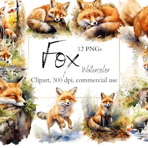 Fox clipart, fox imprimable, fox clip art, animaux de la forêt, renard en forêt, renard mignon, aquarelle de renard, 12 PNG, téléchargement instantané, utilisation commerciale