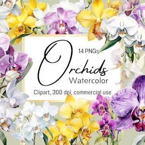 Watercolor orchid clip art, beautiful flower graphics, colorful flowers prints, pretty orchids printables, 14 PNGs, commercial use,