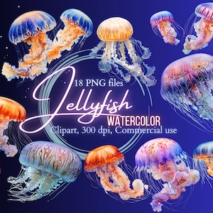Jellyfish clipart, jellyfish printable, marine animal clipart, marine design, marine world, jellyfish magic, ocean animals, clipart, print